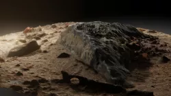 rock  76689 face  3D model