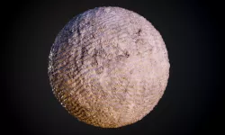 Sand Stones Dirt Seamless PBR Texture  Texture