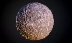 Sand Stones Dirt Seamless PBR Texture  Texture
