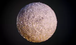Sand Stones Dirt Seamless PBR Texture  Texture