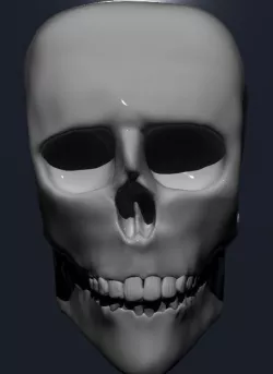 skull 3D print model