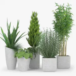 Square Planters 3D model