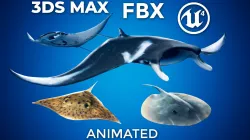 Stingray and Manta Ray Pack - UE4 Low-poly  3D model