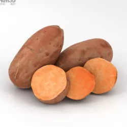 Sweet Potato 3D model