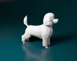 Toy poodle 3D print model