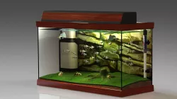 Tropical Aquarium 3D model