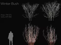 Winter Bush  3D model