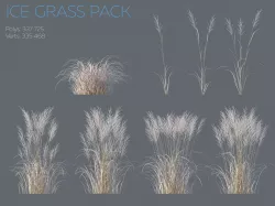 Winter Grass 3D model