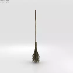 Witchs Broom 3D model