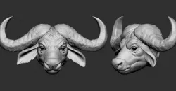 African Buffalo head 3D print model
