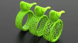 bird ring 3D print model