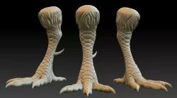 Chicken Leg 3D print model
