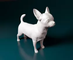Chihuahua dog  3D print model