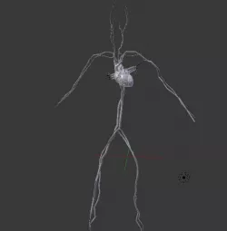Circulatory System 3D print model