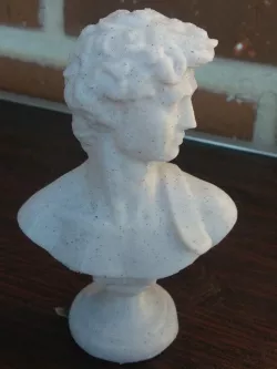 David Bust for 3d Print 3D print model