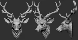 Deer Head 3D print model