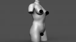 Female torso 3D print model