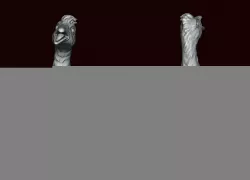 Goose Baby goose Gosling 3D print model