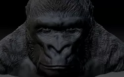 gorilla 3D print model