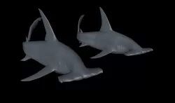 Great Hammerhead 3D Printable Model 3D print model