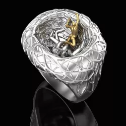 In the spider web ring 3D print model