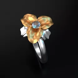 Iris Ring  3D print model