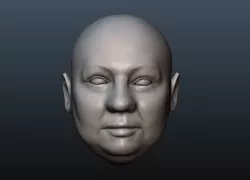 Male head 11 - fat face 3D print model