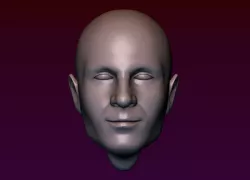 Male Head 3 - Bald Head 3D print model