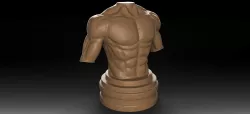 Muscular Male Torso 3D print model
