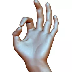 okay sign ok hand male - 3D printable model 3D print model
