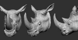 Rhino Head 3D print model