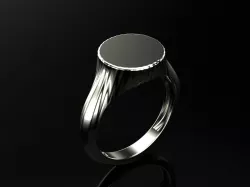 Ring Ram 3D print model