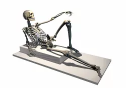 Skeleton poseable 3D print model