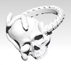 Snake Ring with Skull 3D print model