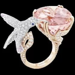 The hummingbird ring  3D print model