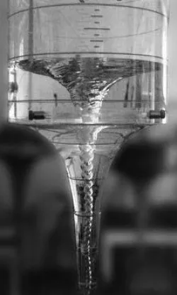 Walter Schauberger Water Vortex Funnel 3D print model