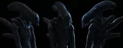 Alien 3D print model