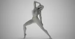 Art Pose 3D print model