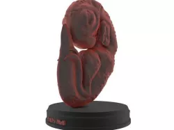 Baby Dino Printable 3D print model