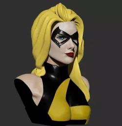 Bust - MsMarvel 3D print model
