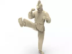 Chicken Front kick 3D print model