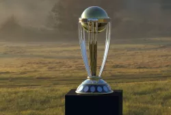 Cricket World Cup 3D print model