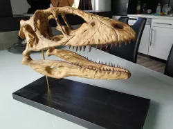 Deinonychus Skull 3D print model