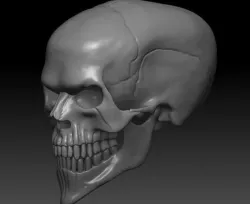 Evil Skull 3D Print  3D print model