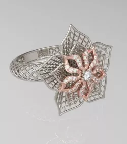 Fancy Ring 3D print model