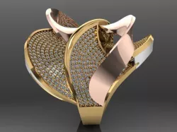 Fancy Ring Gold Silver 3D printing model 3D print model