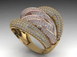 Fancy Ring Gold Silver 3D printing model 3D print model