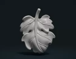 Fig Leaf 3D print model
