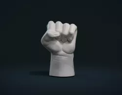 Fist Hand 3D print model