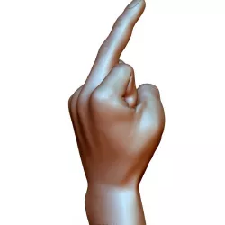 Fuck sign hand male middle finger 3D print model